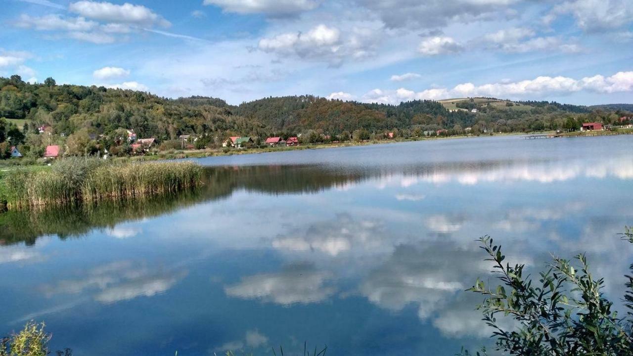 Zacisze Nad Sanem Lejlighed Krzemienna  Eksteriør billede